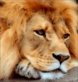 Cartoon Photo Effect 1