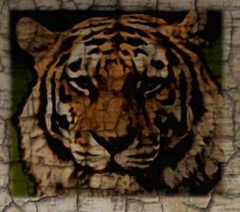 Graffiti Photo Effect 1