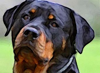Classic Realism Painting Photo Effect