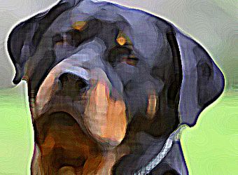 Impressionist Painting Photo Effect