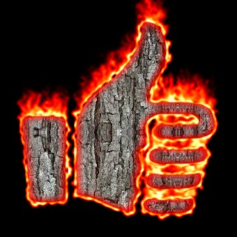Burning Wood Logo Effect 37