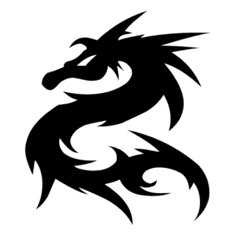 Input Image