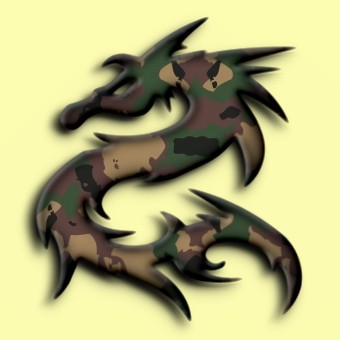 camouflage logo effect 004