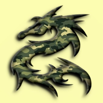 camouflage logo effect 005
