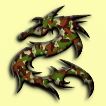 camouflage logo effect 006