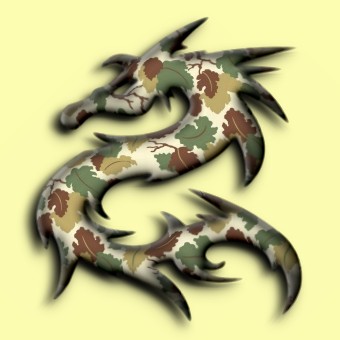 camouflage logo effect 007