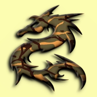 camouflage logo effect 008
