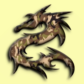 camouflage logo effect 013