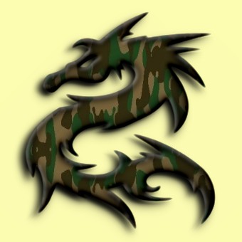 camouflage logo effect 016