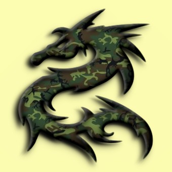 camouflage logo effect 017