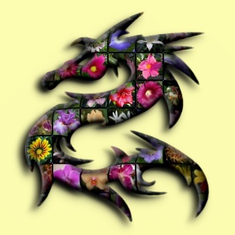 flower logo effect 002