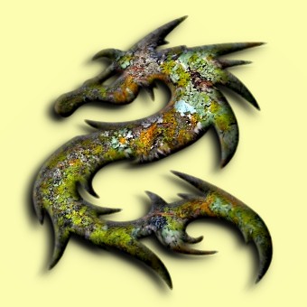 lichen logo effect 003