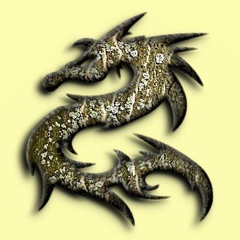 lichen logo effect 013