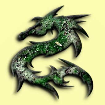 lichen logo effect 016