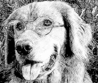 Turn your Photo to Beautiful Pencil Drawing Online for Free