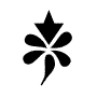 flower_066