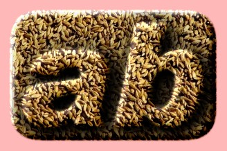 Embossed Food Text Effect 008
