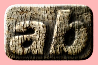 Embossed Wood Text Effect 057