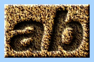 Engraved Food Text Effect 008