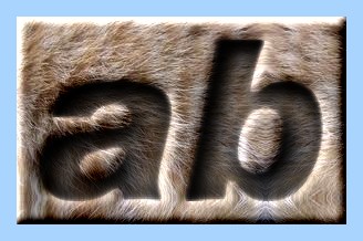 Engraved Fur Text Effect 011
