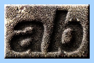 Engraved Leather Text Effect 010