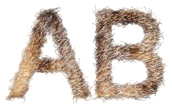 Realistic Fur Text Logo Effect 9