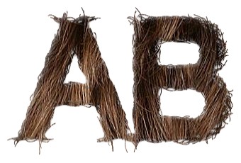 Realistic Hair Text Logo Effect 1