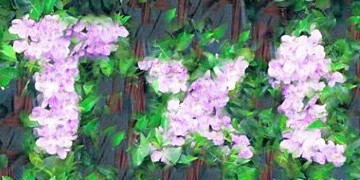 Procedural Flower Text Effect