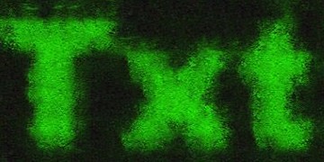 Procedural Fungus Text Effect