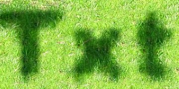 Procedural Grass 1 Text Effect