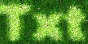 Procedural Grass 2 Text Effect