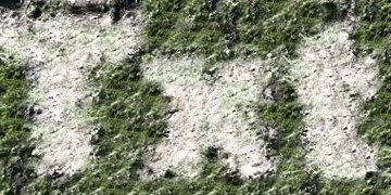 Procedural Ground 1 Text Effect