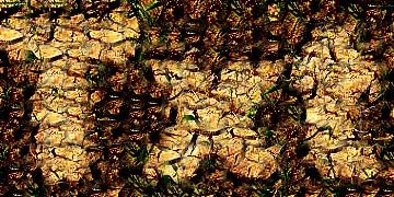 Procedural Ground 2 Text Effect