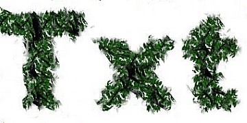 Procedural Leaf 3 Text Effect
